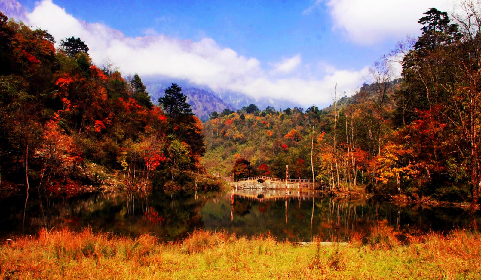 成都周边2日秋季赏红叶自驾游：二郎山喇叭河景区红叶2日自驾游自驾游