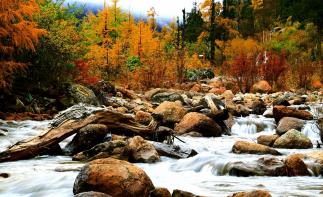 成都周边2日秋季赏红叶彩林自驾游：凉台沟-毕棚沟2日纯玩休闲自驾游自驾游