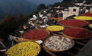 周末無(wú)錫周邊自駕游：踏遍浙皖天路s218-浙西大峽谷-柳溪江炫麗秋色2日自駕游自駕游