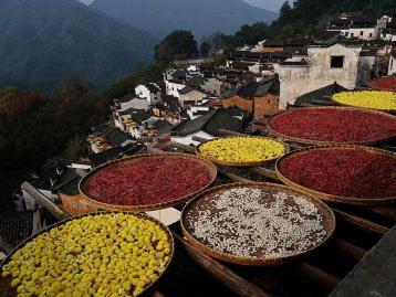 周末无锡周边自驾游：踏遍浙皖天路s218-浙西大峡谷-柳溪江炫丽秋色2日自驾游