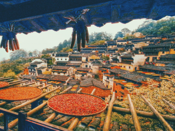 北京出发江西婺源7日自驾游：无敌婺源乡村秋色-南京止马岭池杉林深度摄影7日自驾游