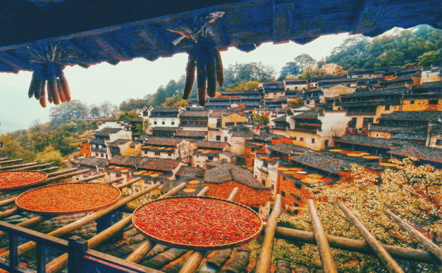 北京出发江西婺源7日自驾游：无敌婺源乡村秋色-南京止马岭池杉林深度摄影7日自驾游