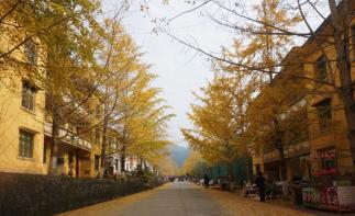 中山出发韶关2日自驾游：邂逅广东最美秋色南雄银杏古树、始兴红土地2天自驾自驾游