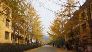 中山出发韶关2日自驾游：邂逅广东最美秋色南雄银杏古树、始兴红土地2天自驾-推荐