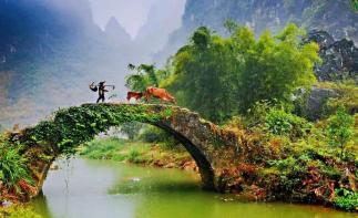 中山出发英德2日自驾游：英西峰林、洞天仙境、九州驿站、深山树上彩虹温泉2天休闲自驾游自驾游