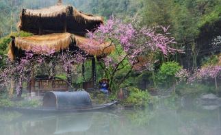 长沙出发常德2日自驾游：金秋聚桃园，赏醉美桃花源2日周末游自驾游