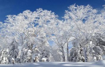 北京出发东北雪乡7日自驾游：中国最美雪乡、查干湖冬捕、虎峰岭雾淞、雪乡温泉-游推荐