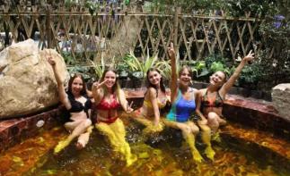 北京出发秦皇岛2日自驾游：泡温泉、逛生态园、五星阿尔卡迪亚奢华自驾自驾游