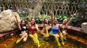 北京出发秦皇岛2日自驾游：泡温泉、逛生态园、五星阿尔卡迪亚奢华自驾-推荐