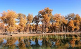武汉出发乌鲁木齐集合南疆10日落地自驾游：穿越沙漠公路-胡杨林公园-享新疆美食-游老城的大街小巷10自驾游