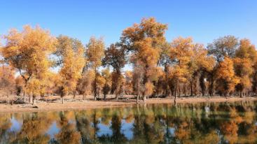 武汉出发乌鲁木齐集合南疆10日落地自驾游：穿越沙漠公路-胡杨林公园-享新疆美食-游老城的大街小巷10-推荐