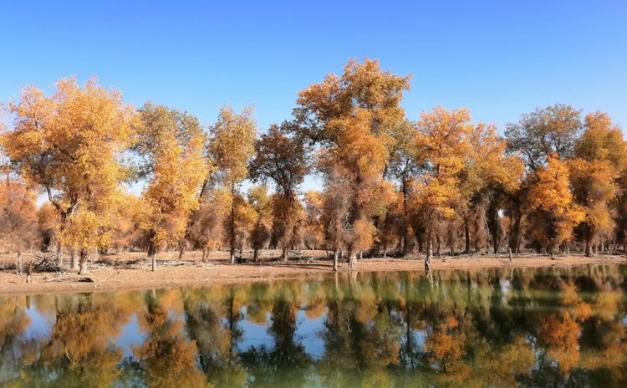 武汉出发乌鲁木齐集合南疆10日落地自驾游：穿越沙漠公路-胡杨林公园-享新疆美食-游老城的大街小巷10日自驾游