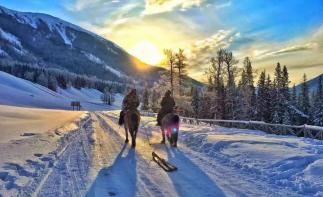 乌鲁木齐集合北疆7日落地自驾游：喀纳斯湖-禾木村-北疆体验刺激玩雪之旅自驾游