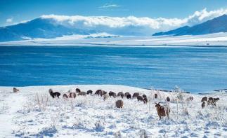 烏魯木齊集合6天北疆自駕游：魔鬼城-禾木村-克拉瑪依-喀納斯6天冰雪自駕游自駕游