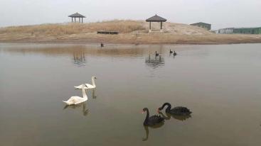 北京出发河北沧州2日自驾游：北塘古镇、洋货街、南大港湿地2日周末游-推荐