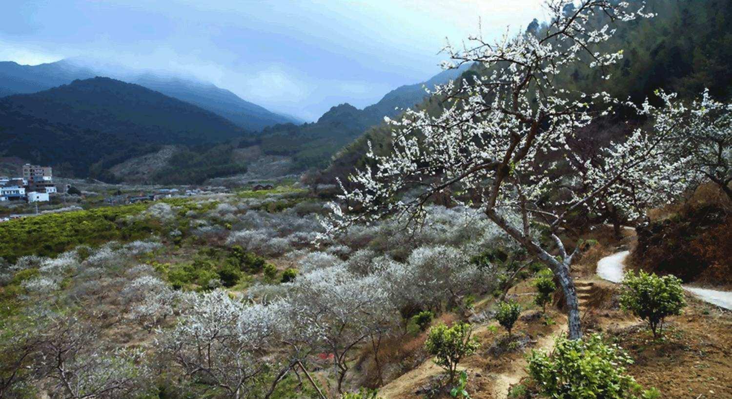 周末中山周边自驾游：增城品盆菜-从化石门森林公园赏枫叶-溪头村寻梅2天自驾自驾游