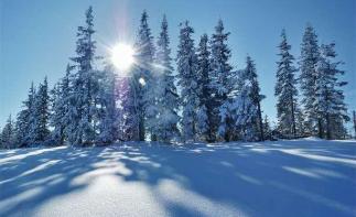 海拉尔集合9日呼伦贝尔漠河落地自驾游：冷极村+北极村+奇乾+莫尔道嘎+呼伦湖9日冬季雪原之旅自驾游