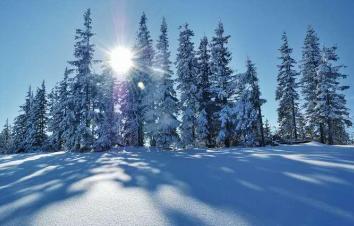 海拉尔集合9日呼伦贝尔漠河落地自驾游：冷极村+北极村+奇乾+莫尔道嘎+呼伦湖9日冬季雪原之旅-游推荐