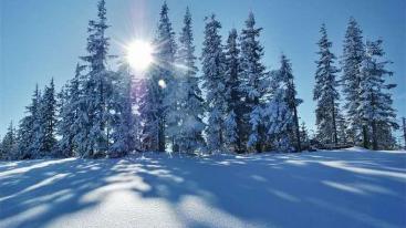 海拉尔集合9日呼伦贝尔漠河落地自驾游：冷极村+北极村+奇乾+莫尔道嘎+呼伦湖9日冬季雪原之旅-推荐