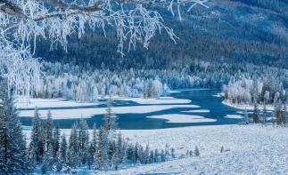 阿勒泰集合新疆4日落地自驾游：喀纳斯-禾木村雪景，体验新疆冰雪天地4日游自驾游