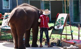 昆明出發(fā)泰國7天自駕游：金三角-清萊-清邁小城故事7日東南亞自駕游自駕游