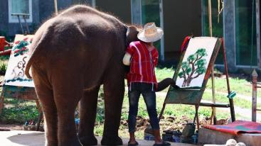 昆明出发泰国7天自驾游：金三角-清莱-清迈小城故事7日东南亚自驾游-推荐
