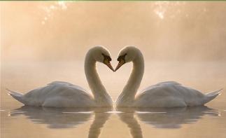 濟(jì)南出發(fā)榮成煙墩角3日休閑游：牟氏莊園-煙墩角-溫泉酒店3日自駕游自駕游