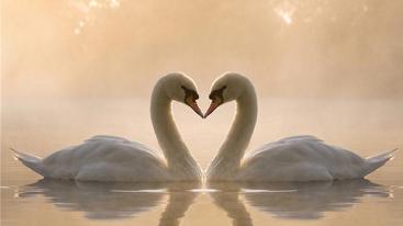 济南出发荣成烟墩角3日休闲游：牟氏庄园-烟墩角-温泉酒店3日自驾游-推荐