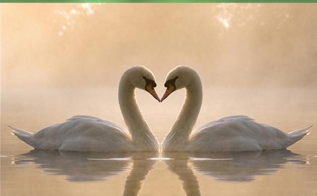 济南出发荣成烟墩角3日休闲游：牟氏庄园-烟墩角-温泉酒店3日自驾游