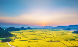 重庆出发云南6日特色自驾：元阳梯田-碧色寨-罗平油菜花6日自驾游自驾游