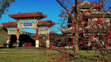 北京出发天津2日自驾游：杨柳青古镇、辛口镇采摘沙沃萝卜、天津热带植物观光园2日自驾-推荐