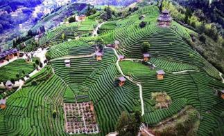 广东出发广西贵州6日自驾游:南丹洞天-南中国天眼-布央仙人6天休闲自驾游自驾游