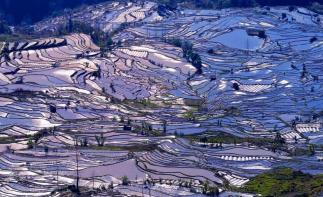 重庆出发云南6日自驾游：建水古城-元阳梯田-蒙自-碧色寨追忆芳华-罗平油菜花6日自驾之旅自驾游