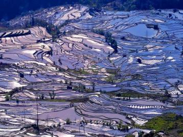 重庆出发云南6日自驾游：建水古城-元阳梯田-蒙自-碧色寨追忆芳华-罗平油菜花6日自驾之旅