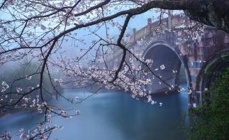 山東出發(fā)到浙江6日自駕游：神仙居-雁蕩山-楠溪江6日自駕游自駕游