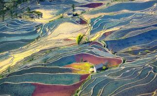 山東出發(fā)云貴14日深度自駕游：羅平油菜花、元陽梯田、撫仙湖14日自駕游自駕游