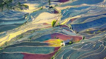 山东出发云贵14日深度自驾游：罗平油菜花、元阳梯田、抚仙湖14日自驾游-推荐