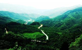 廣東出發(fā)容縣4日自駕游:北流大容山-馬曉軍別墅-岑溪天龍頂4天休閑自駕游自駕游