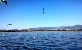 成都出發(fā)攀西6日自駕：西昌-攀枝花-米易梯田-會(huì)理古城6日自駕游