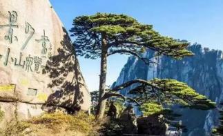 福建出发安徽5日自驾游：宏村-屯溪老街-黄山5日徽州体验之旅自驾游