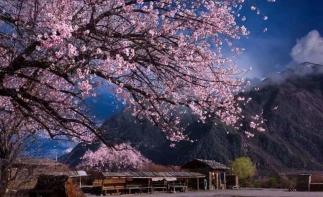 北京出發(fā)西藏青海23日自駕游：拉薩-雅魯藏布大峽谷-羊卓雍錯-青海湖23日自駕自駕游