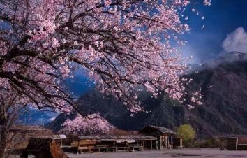 北京出发西藏青海23日自驾游：拉萨-雅鲁藏布大峡谷-羊卓雍错-青海湖23日自驾-游推荐