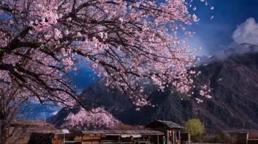 北京出发西藏青海23日自驾游：拉萨-雅鲁藏布大峡谷-羊卓雍错-青海湖23日自驾-推荐