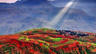 成都出发云南昆明6日自驾游：攀枝花-抚仙湖-元阳梯田6日自驾游-推荐
