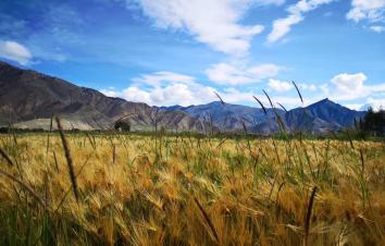 萍水川藏路、凌波捧玉盘-稻城+西藏15日自驾：稻城亚丁-然乌湖-羊卓雍措-布达拉宫-纳木错-茶卡盐湖-游推荐