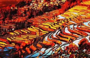 山東出發(fā)到貴州云南11日自駕游：羅平油菜花-元陽梯田-東川紅土地11日自駕游-游推薦