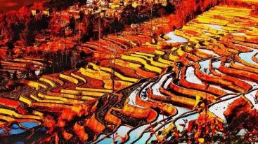 山东出发到贵州云南11日自驾游：罗平油菜花-元阳梯田-东川红土地11日自驾游-推荐