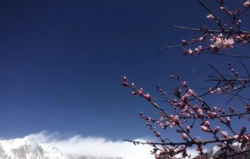 拉萨集合9日西藏林芝桃花节自驾游：林芝桃花沟-羊卓雍措-布达拉宫-然乌湖9日自驾游-游推荐