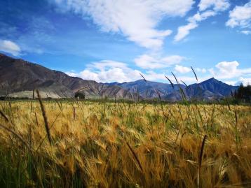 成都集合15日稻城-西藏自驾游：G318川藏线-稻城亚丁-羊湖-拉萨-翡翠湖15日川进青出自驾游