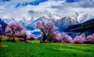 拉薩集合林芝桃花9日自駕游：林芝桃花-布達(dá)拉宮夜景-墨脫落地自駕9日自駕游
